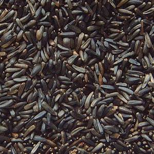 American Niger Seed Company American Grown Niger Seed Niger Thistle Nyjer Seed,Rum Runner Drink Frozen